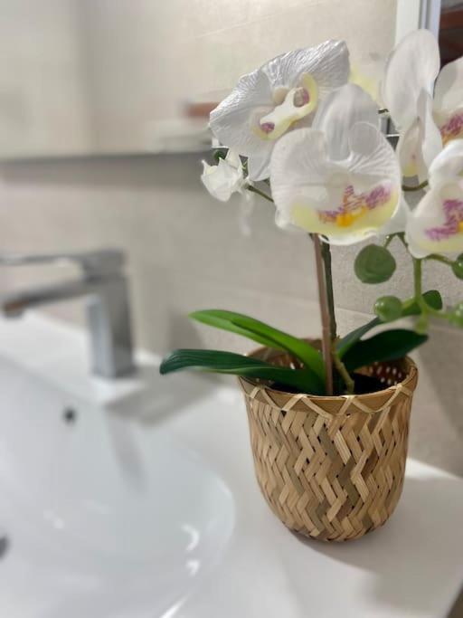 شقة Precioso Loft En Caion Rocha, Sobre La Arena Y El Mar Cayón المظهر الخارجي الصورة